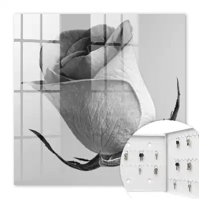 Rose Eleganz Minimalismus Natur
