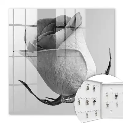 Rose Eleganz Minimalismus Natur
