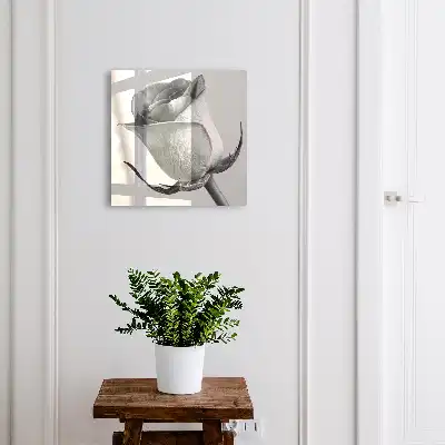 Rose Eleganz Minimalismus Natur