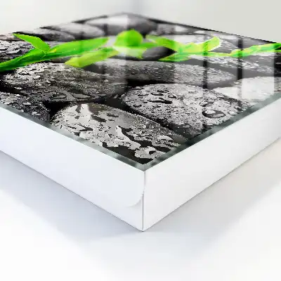 Die grüne Natur nasser Steine