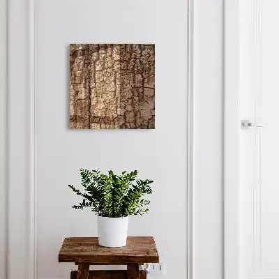 Baumrinde mit natürlichem Muster