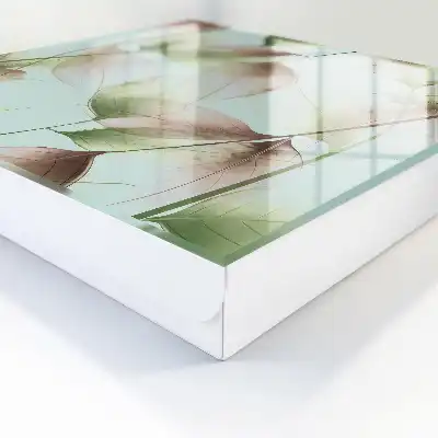 Blätter der Natur grün braun
