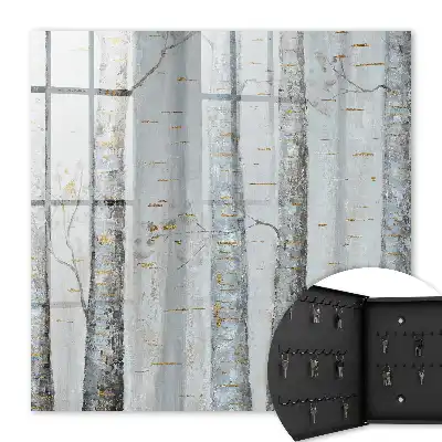 Birken der Charme der Natur