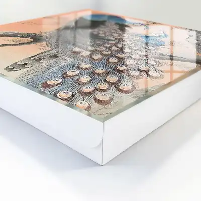 Pfauenschönheit vor pastellfarbenem Hintergrund