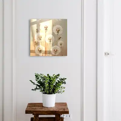 Löwenzahn in Beige und Weiß