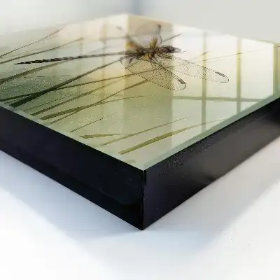 Libelle Natur Eleganz