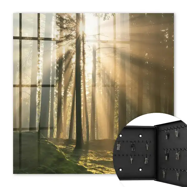 Wandbild mit magischer Waldlicht-Atmosphäre
