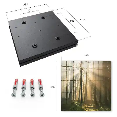 Wandbild mit magischer Waldlicht-Atmosphäre