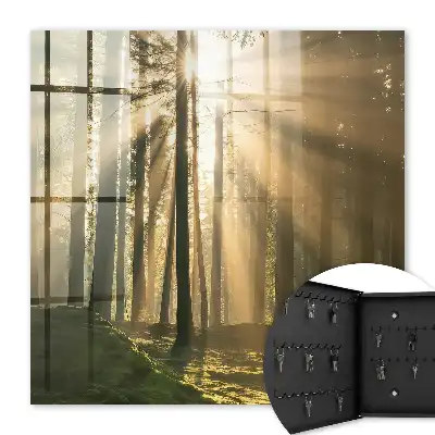 Wandbild mit magischer Waldlicht-Atmosphäre