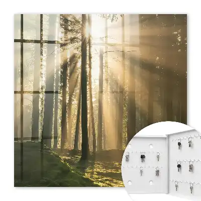 Wandbild mit magischer Waldlicht-Atmosphäre
