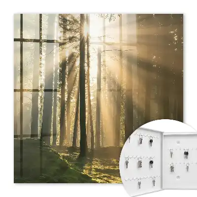 Wandbild mit magischer Waldlicht-Atmosphäre