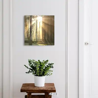 Wandbild mit magischer Waldlicht-Atmosphäre
