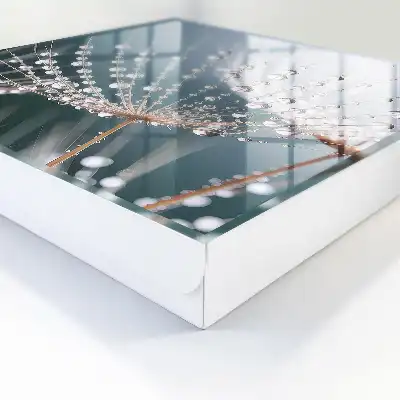 Wassertropfen in den Grashalmen