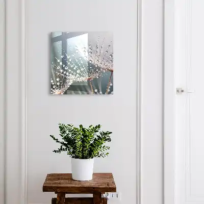 Wassertropfen in den Grashalmen
