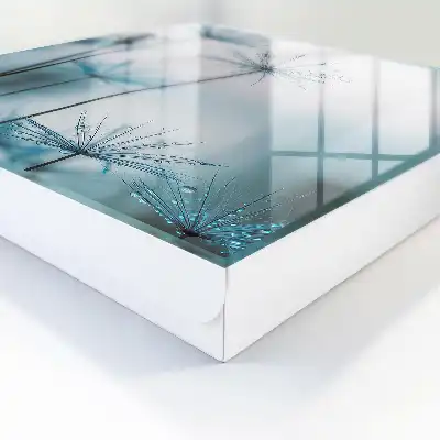 Löwenzahn und Tau – Details der Natur