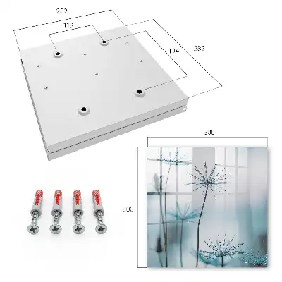 Löwenzahn und Tau – Details der Natur