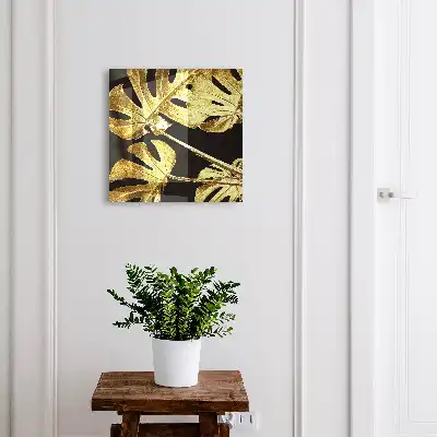 Monstera-Blätter vor schwarzem Hintergrund