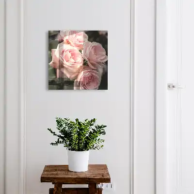 Rosa Rosen in voller Blüte