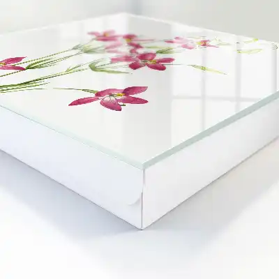 Rosa Blüten vor hellem Hintergrund