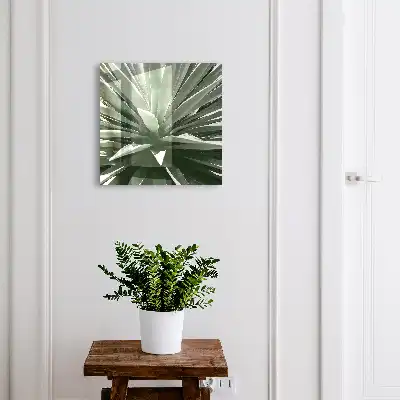Agavenzusammensetzung der Natur