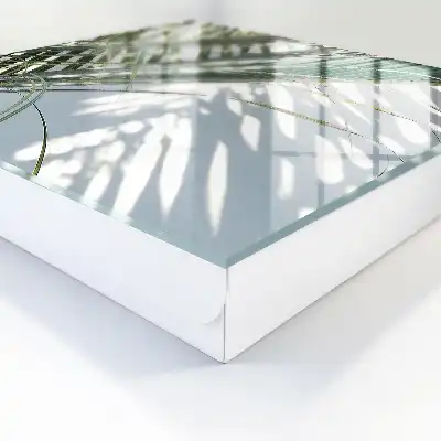 Palmen und Schatten im hellen Hintergrund