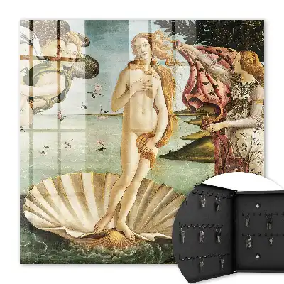Die Geburt der eleganten Venus