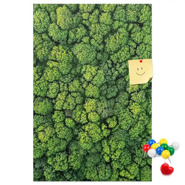 Korktafel Waldcharakter des Baumes