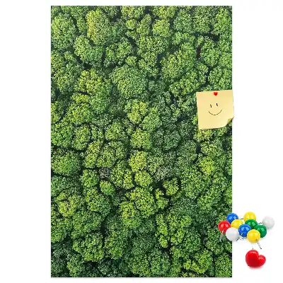 Korktafel Waldcharakter des Baumes