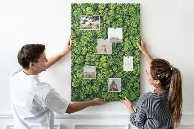 Korktafel Waldcharakter des Baumes