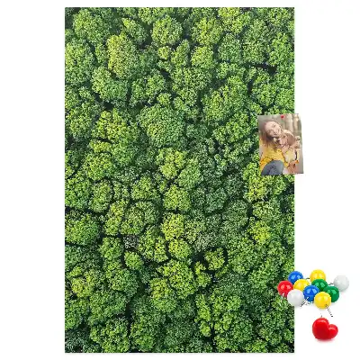 Korktafel Waldcharakter des Baumes