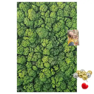 Korktafel Waldcharakter des Baumes