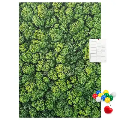 Korktafel Waldcharakter des Baumes