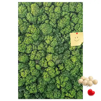 Korktafel Waldcharakter des Baumes