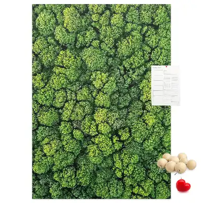 Korktafel Waldcharakter des Baumes