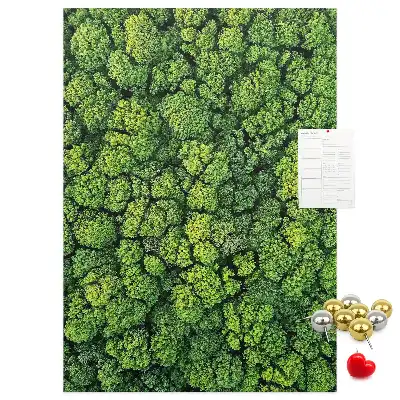 Korktafel Waldcharakter des Baumes