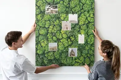 Korktafel Waldcharakter des Baumes