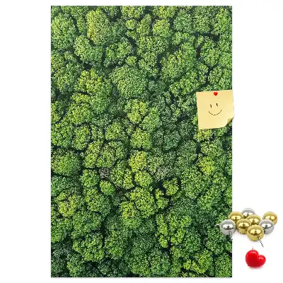 Korktafel Waldcharakter des Baumes