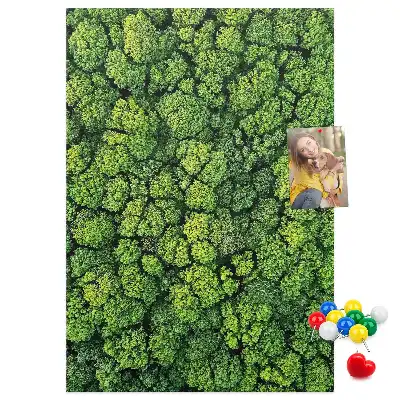 Korktafel Waldcharakter des Baumes