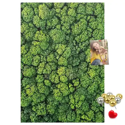 Korktafel Waldcharakter des Baumes