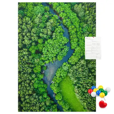 Korktafel Waldbach