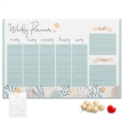Bilder-Korktafel Wochenplan