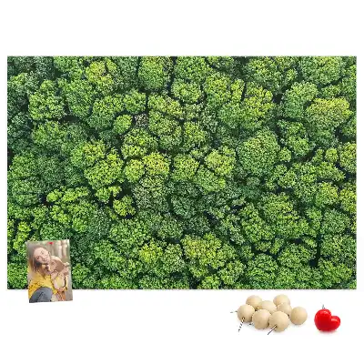 Bedruckte Korkplatte Wald aus der Vogelperspektive