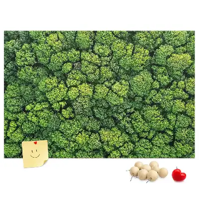 Bedruckte Korkplatte Wald aus der Vogelperspektive