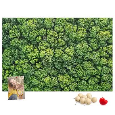 Bedruckte Korkplatte Wald aus der Vogelperspektive