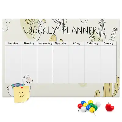 Bilder-Korktafel mit Sukkulenten-Motiv und Sieben-Tage-Planer