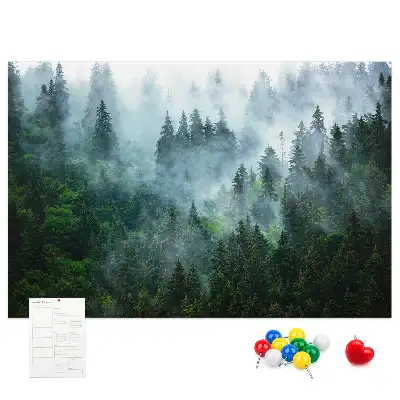 Bilder-Korktafel Nebliger Nadelwald