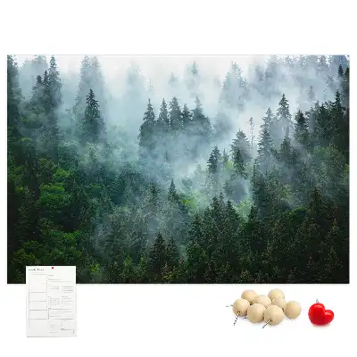 Bilder-Korktafel Nebliger Nadelwald