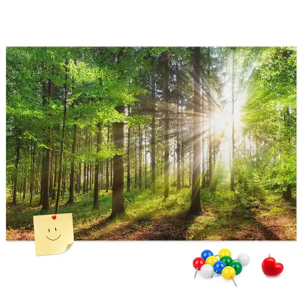 Kork-Pinnwand mit Wald-Motiv bei Sonnenaufgang