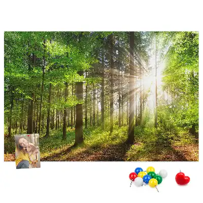 Kork-Pinnwand mit Wald-Motiv bei Sonnenaufgang