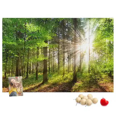 Kork-Pinnwand mit Wald-Motiv bei Sonnenaufgang